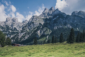 Landschaftsaufnahme mit Bergen, Wäldnern und Fluss im Sonnenschein als Location für FILM in AUSTRIA